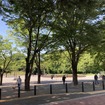 練馬城址公園入り口