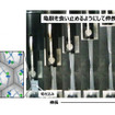 本研究で作製した微粒子フィルムの切れ目からの引裂試験の様子