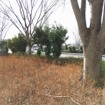 （イメージ）