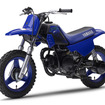 40年以上のロングセラーを誇る、キッズ向けのヤマハ PW50