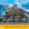 イエローハット「巨大猫ポスター」