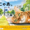 イエローハット「巨大猫ポスター」