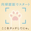 イエローハット：猫パンチ募金