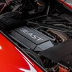 レズバニ・ビースト 新型