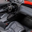 レズバニ・ビースト 新型