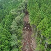 矢崎総業の林業