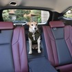 愛犬とドライブするのに役立つクルマの機能＆装備とは？