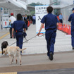 静岡空港にも麻薬探知犬が出張