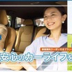 オリックスカーリースLP画像