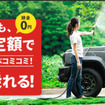 ポチモLP画像