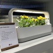 LGのLEDプランター。LGのほかボッシュなどの製品もあり