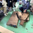 湿気で劣化したベニヤ板