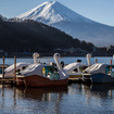 河口湖畔から見る富士山