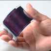 大日本印刷、50mm角程度の大型の有機薄膜太陽電池を開発