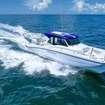 ヤマハ発動機のプレジャーボート「YFR330」