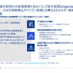 「【どうする？BEV・内燃機関は？】米大統領選・欧州議会選の影響と将来シナリオ」参考資料