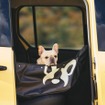 ルノー『カングー』向けに3種類のアクセサリーパッケージ発表。「車中泊」「愛犬」「サウンド」がテーマ