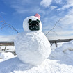 雪だるまに埋まったデリ丸。
