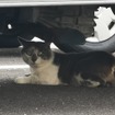 （イメージ）