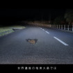 「NISSAN ANIMALERT（アニマラート）」 プロジェクトムービーより