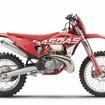 ガスガスEC250