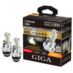 GIGA LEDヘッドバルブ D10 D4S 4500K［BW906］