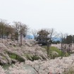 高田城址公園（新潟県上越市）