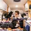 フィアット『デュカト』をベースにした新型キャンピングカー『VANLIFE』