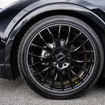 TOYOTA プリウス × ホムラ 2×9Plus…レイズファンミーティング2025