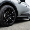 TOYOTA クラウン × レイズ ベルサス VV27S