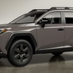 トヨタ RAV4 ADVENTURE