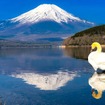 冬の山中湖
