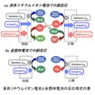 マクセルが全固体電池の長寿命化に向け容量劣化メカニズムを解明