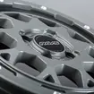 TEAM DAYTONA M9+ COLLECTION セミグロスアームズグレー