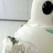 61kgを担げる介護支援ロボット　理研と東海ゴムが開発