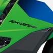 「RR」ロゴ入りグラフィック
