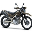 カワサキ KLX230シェルパS（ミディアムクラウディグレー）