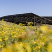 ジャガー・ランドローバーが英国最大級の太陽光発電所開設