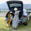 アウディAs Avant TFSI quattro 150kW S Line