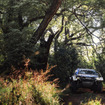 W2RC『SOUTH AFRICAN SAFARI RALLY』