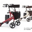 ロボットアシストウォーカー RT.2