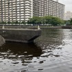 豊洲3丁目と塩浜1丁目の間、豊洲運河に残る専用線の橋脚（豊洲側から塩浜がを望む）