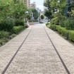 レールが埋め込まれた歩道。レールの間隔や場所は現役当時と異なる（豊洲3丁目）