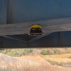 橋梁下部に設置したエネルギーハーベスター試作機