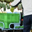 城南製作所の追従運搬車「Folloone（フォローン）」