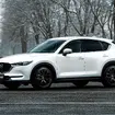レイズ RSS RS 2×7FT × MAZDA CX-5