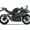 カワサキ Ninja 250（メタリックカーボングレー×メタリックイエローイッシュグリーン）