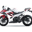 カワサキ Ninja 250（ギャラクシーシルバー×キャンディパーシモンレッド）