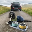 「いすゞD-Max×Ruffwearコレクション」