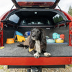 「いすゞD-Max×Ruffwearコレクション」